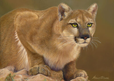 "Queen Of The Rockies," 12"x16", oil on fine linen stretched canvas.